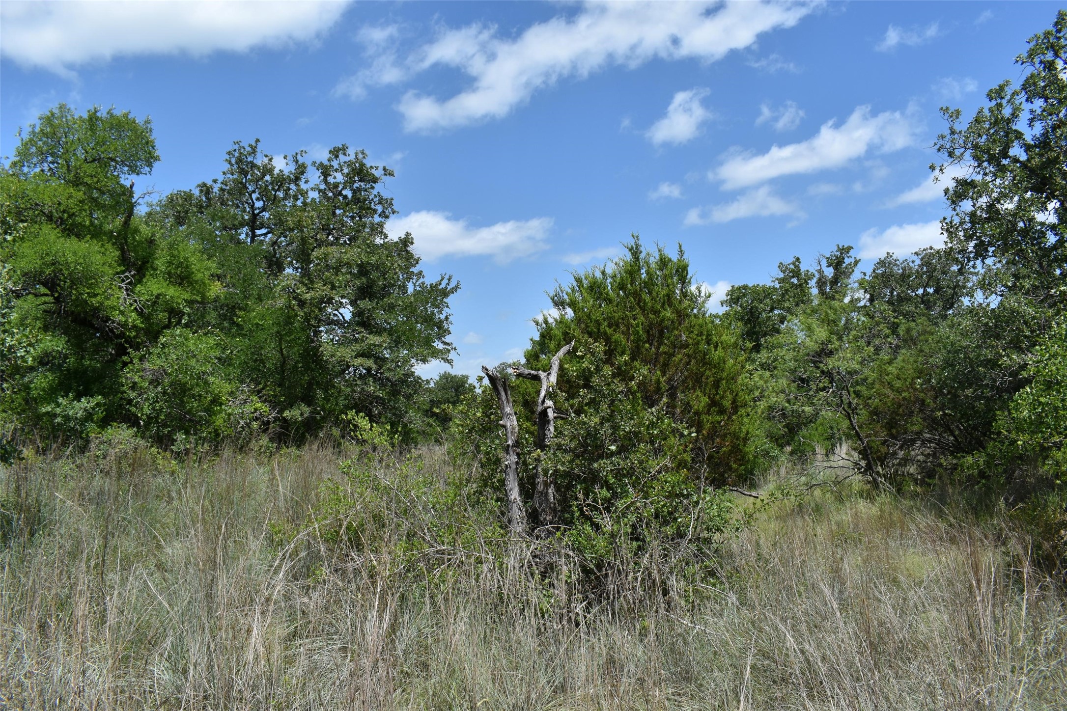 Tbd Fm 8 Wooded Side Gorman TX 76454