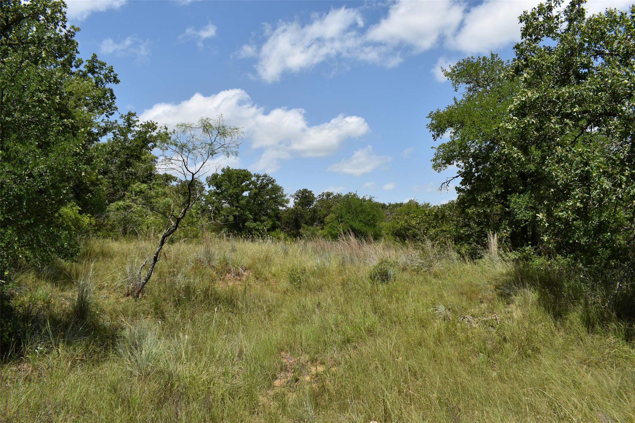 Tbd Fm 8 Wooded Side Gorman TX 76454