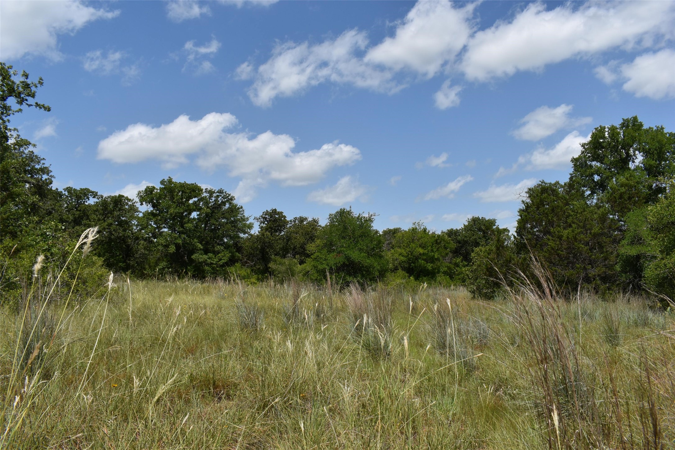 Tbd Fm 8 Wooded Side Gorman TX 76454