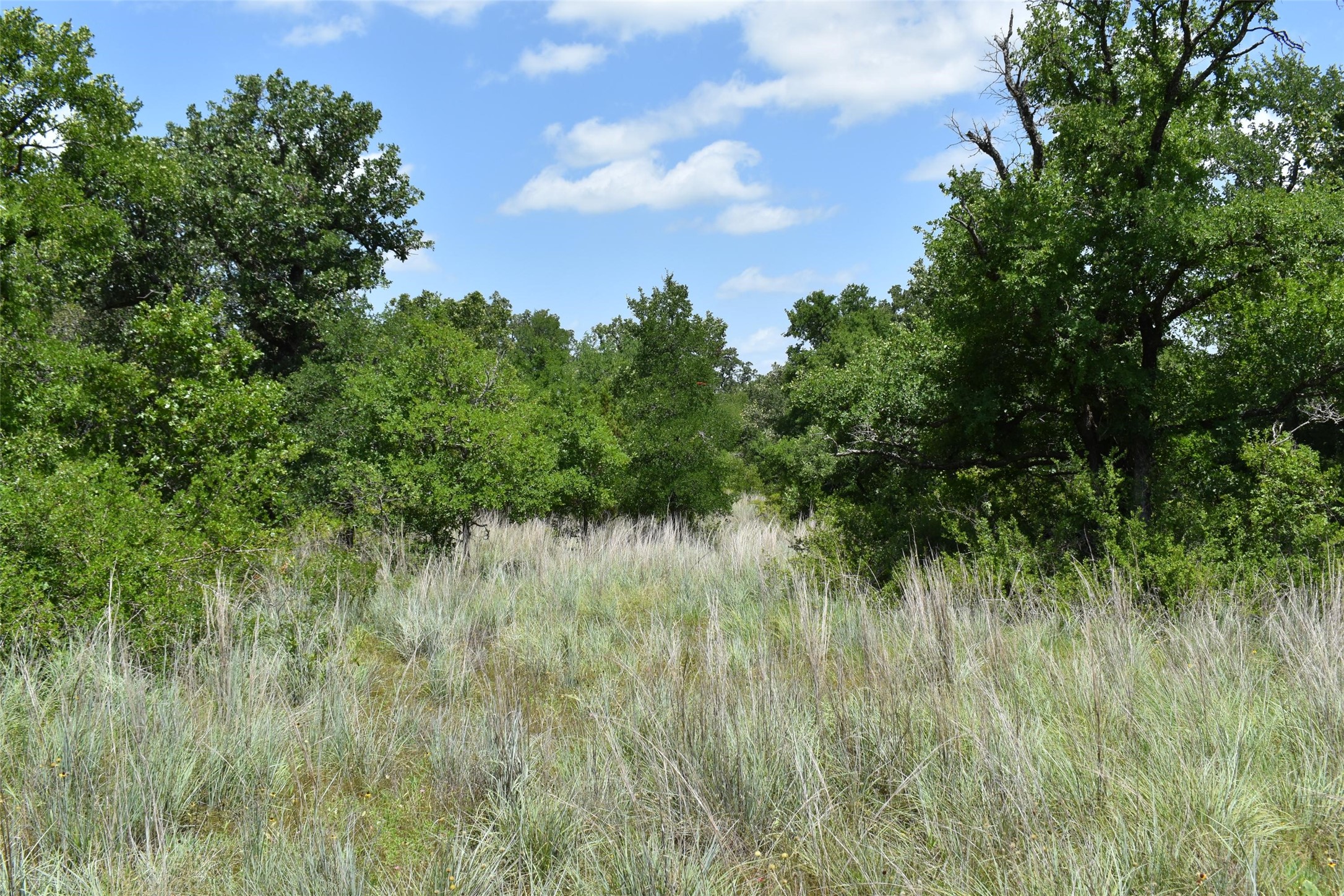 Tbd Fm 8 Wooded Side Gorman TX 76454