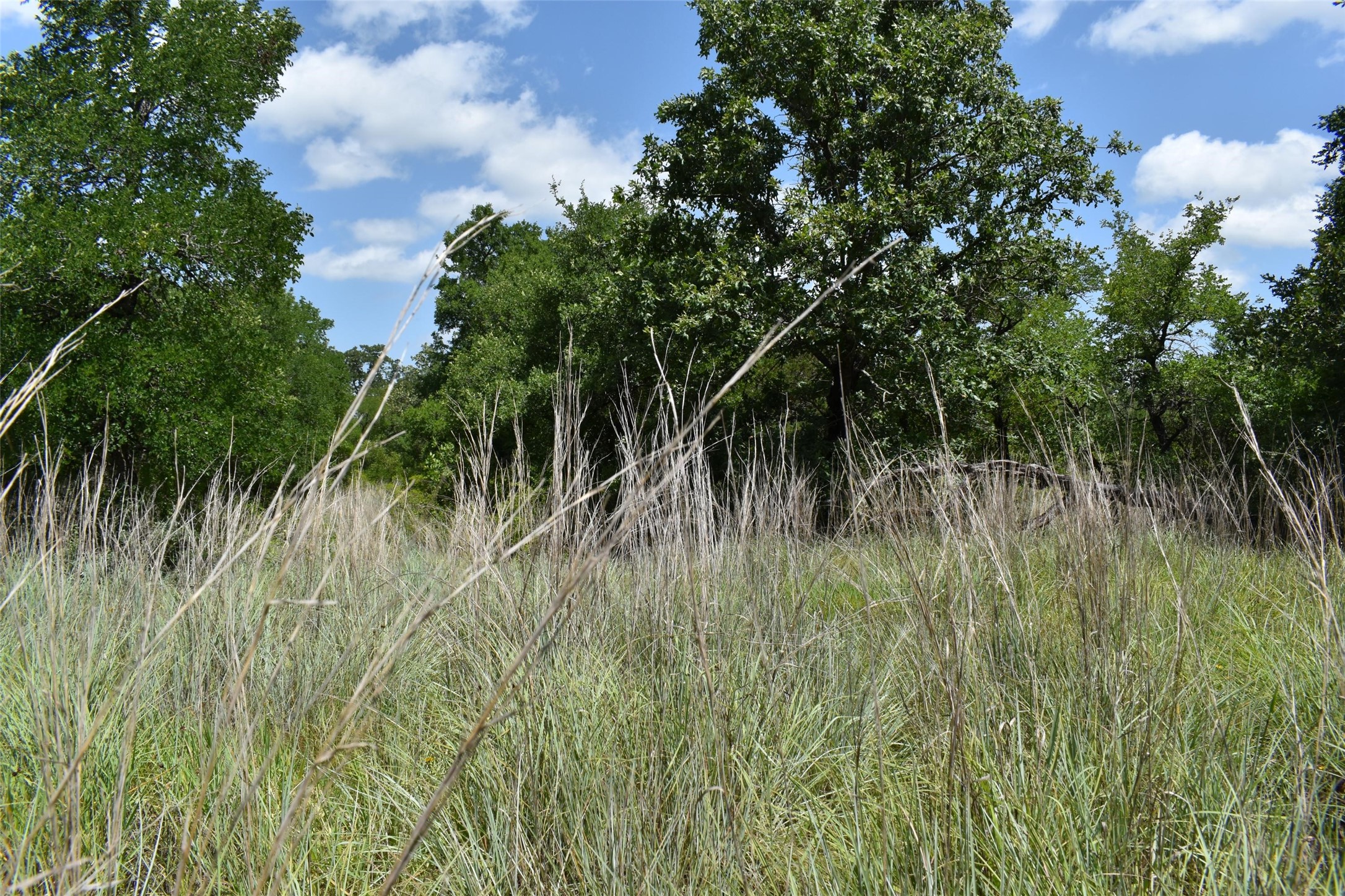 Tbd Fm 8 Wooded Side Gorman TX 76454
