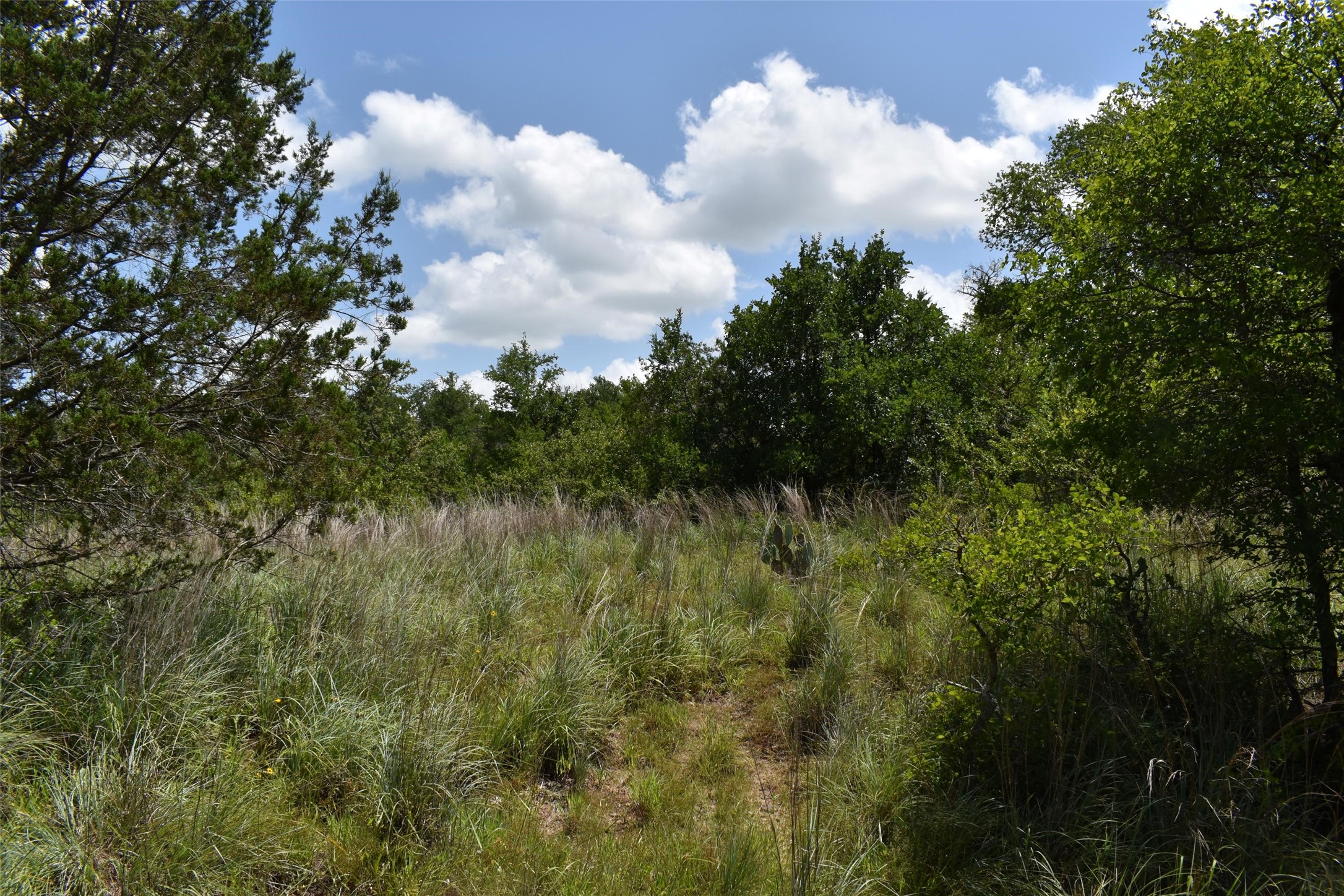 Tbd Fm 8 Wooded Side Gorman TX 76454