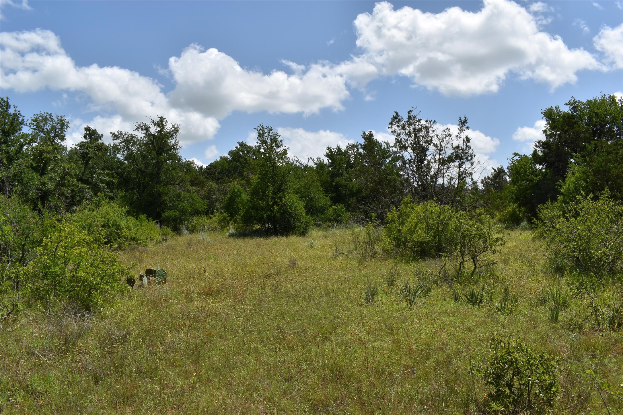 Tbd Fm 8 Wooded Side Gorman TX 76454