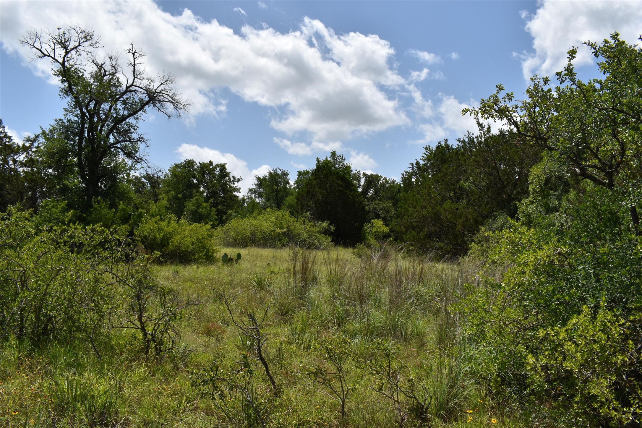 Tbd Fm 8 Wooded Side Gorman TX 76454