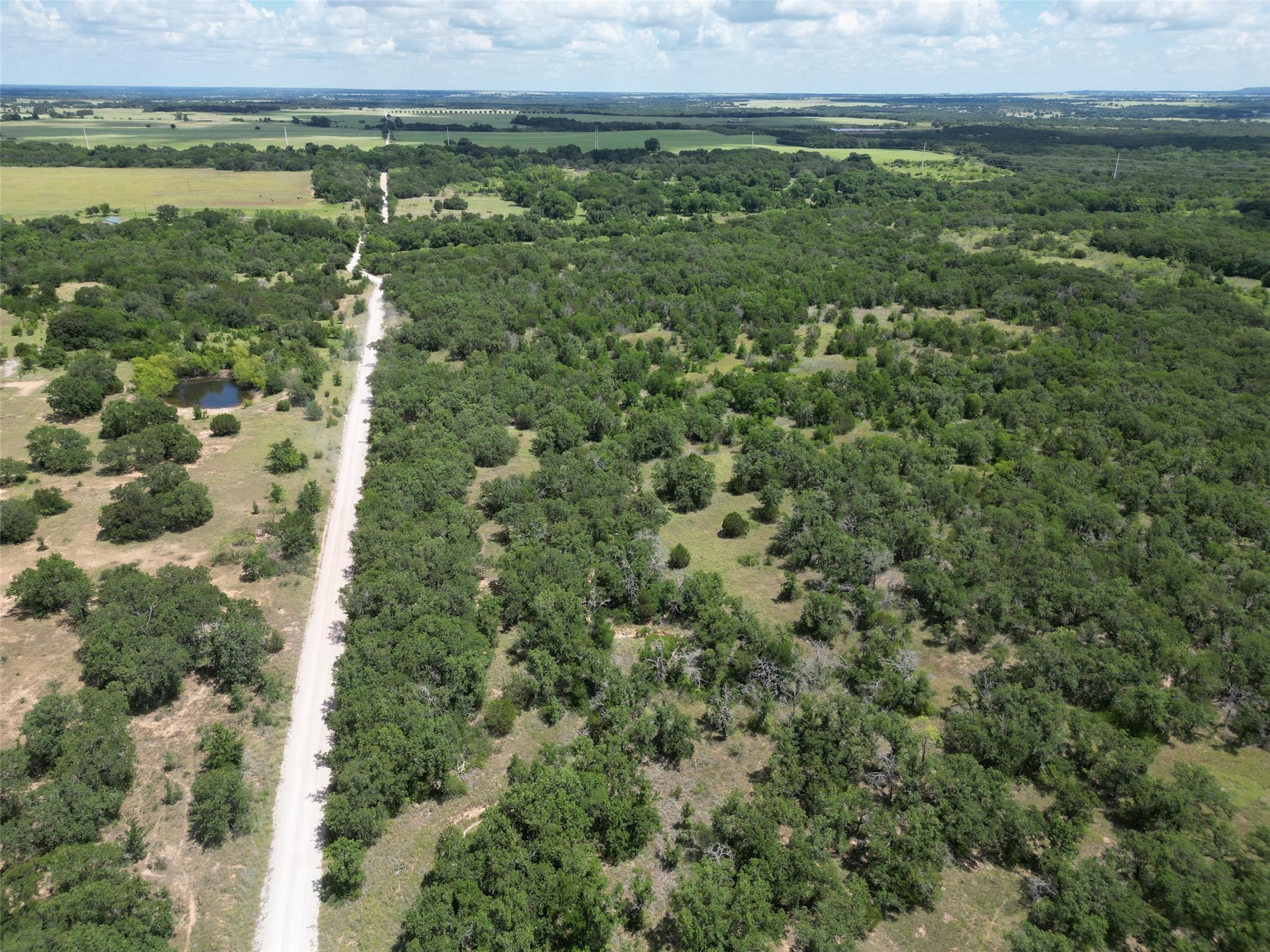 Tbd Fm 8 Wooded Side Gorman TX 76454