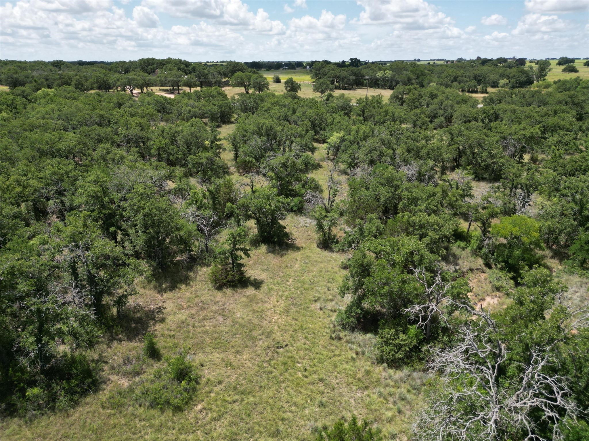 Tbd Fm 8 Wooded Side Gorman TX 76454