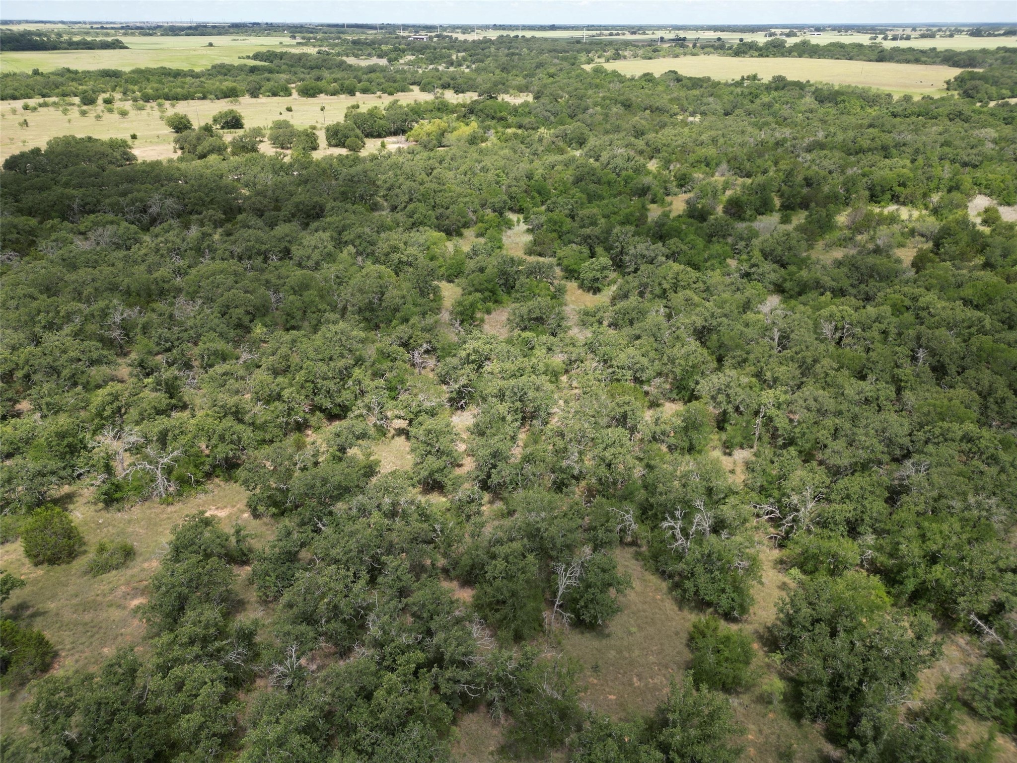 Tbd Fm 8 Wooded Side Gorman TX 76454