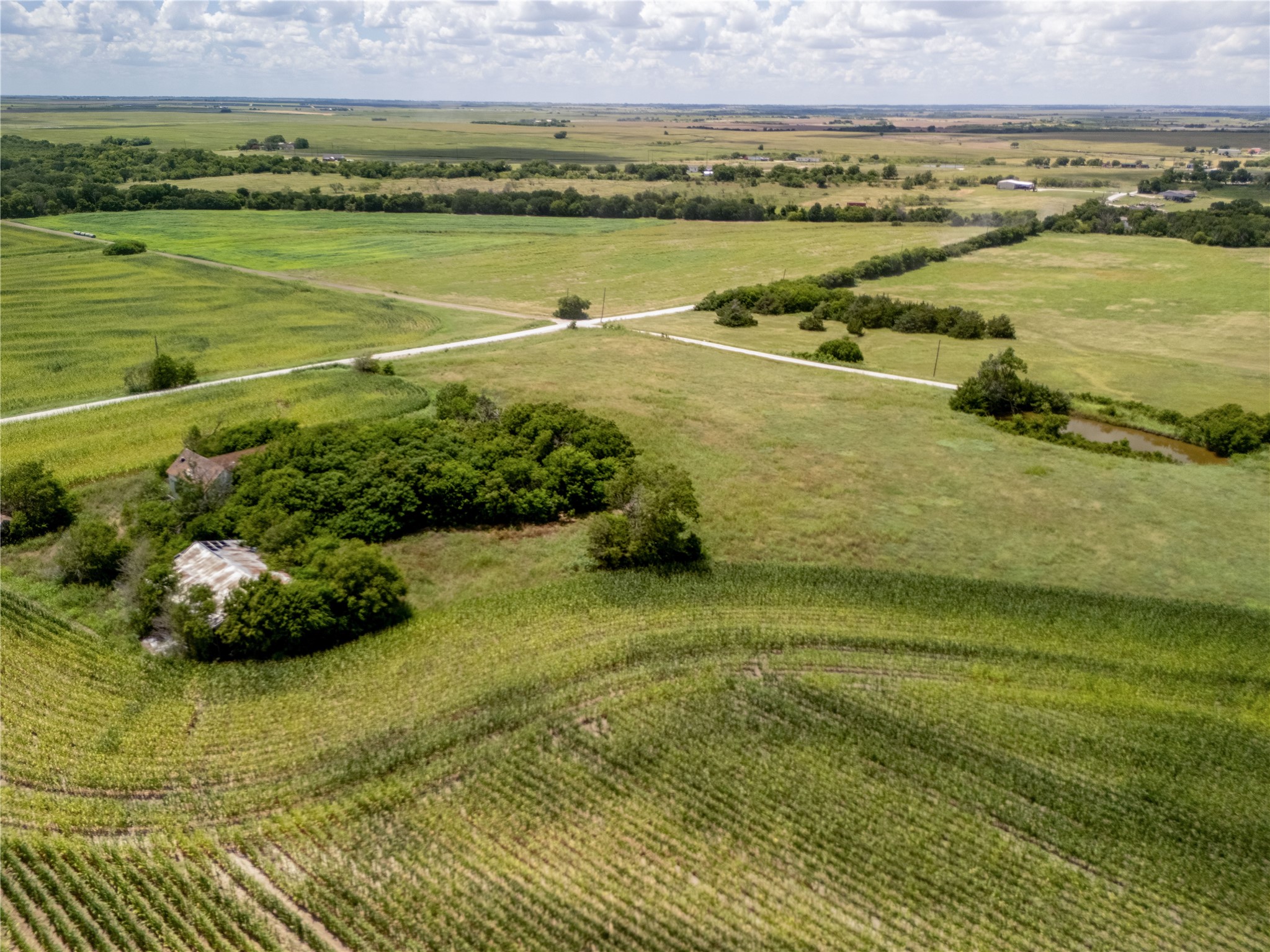 12.54 Acres | Tract 2 County Road 3307 Hubbard TX 76648