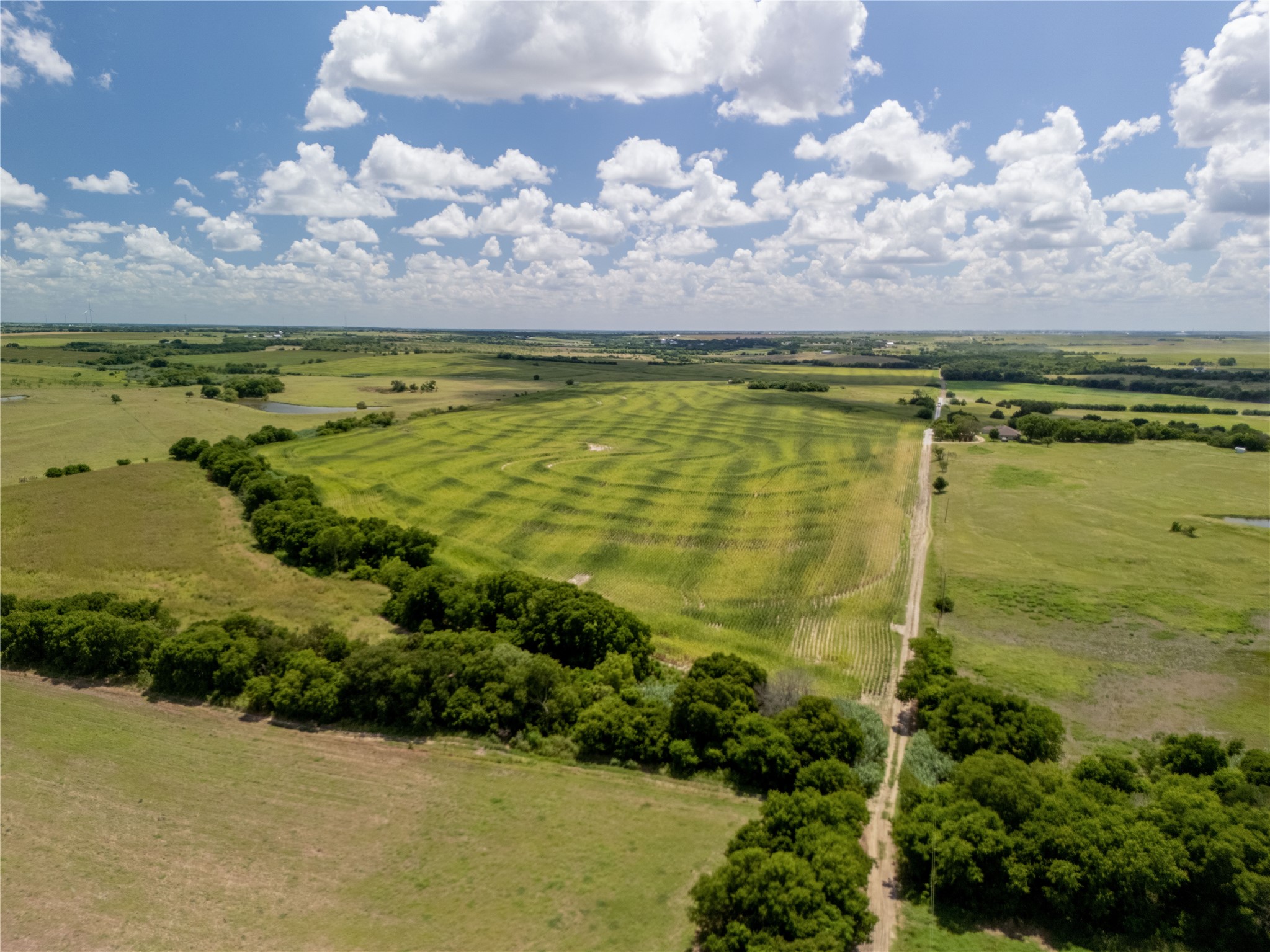 12.54 Acres | Tract 2 County Road 3307 Hubbard TX 76648