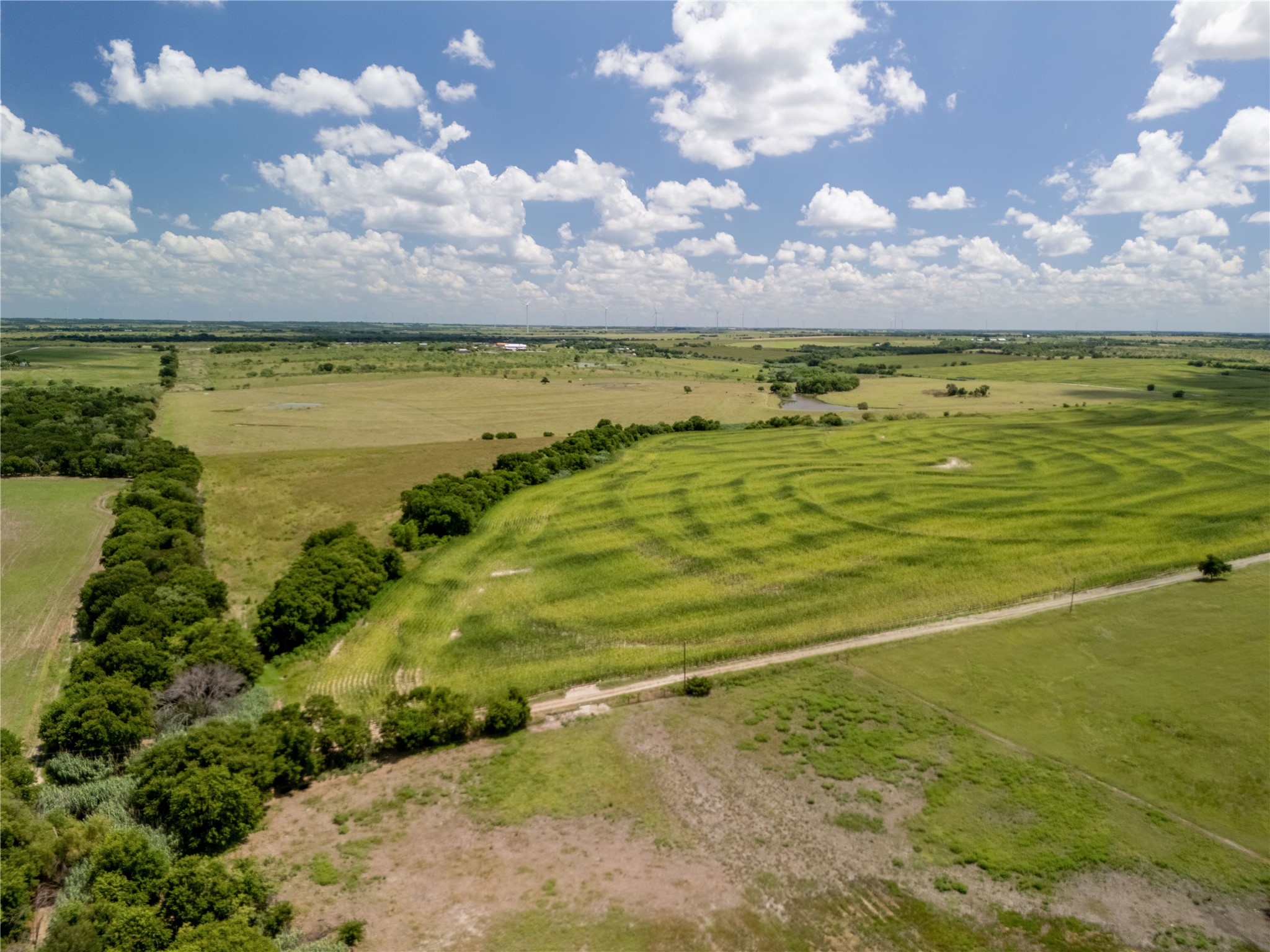 12.54 Acres | Tract 2 County Road 3307 Hubbard TX 76648