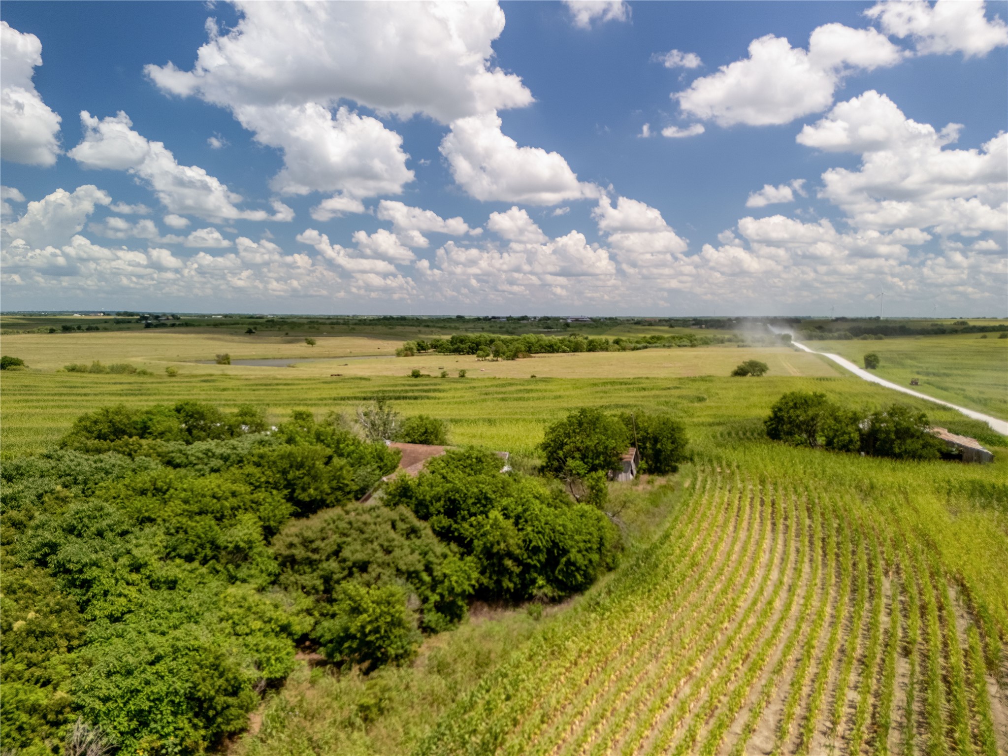 12.54 Acres | Tract 2 County Road 3307 Hubbard TX 76648