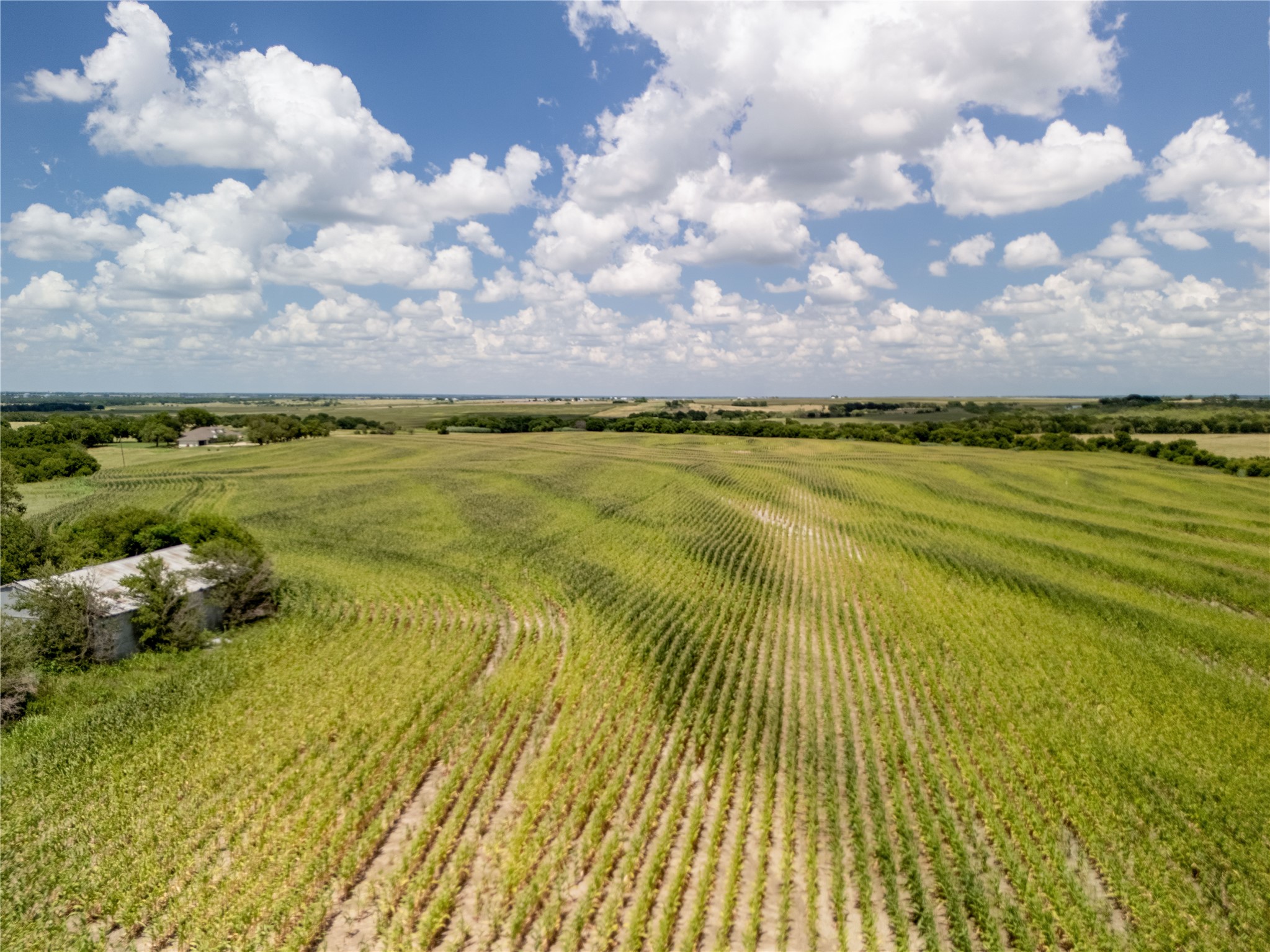 12.54 Acres | Tract 2 County Road 3307 Hubbard TX 76648