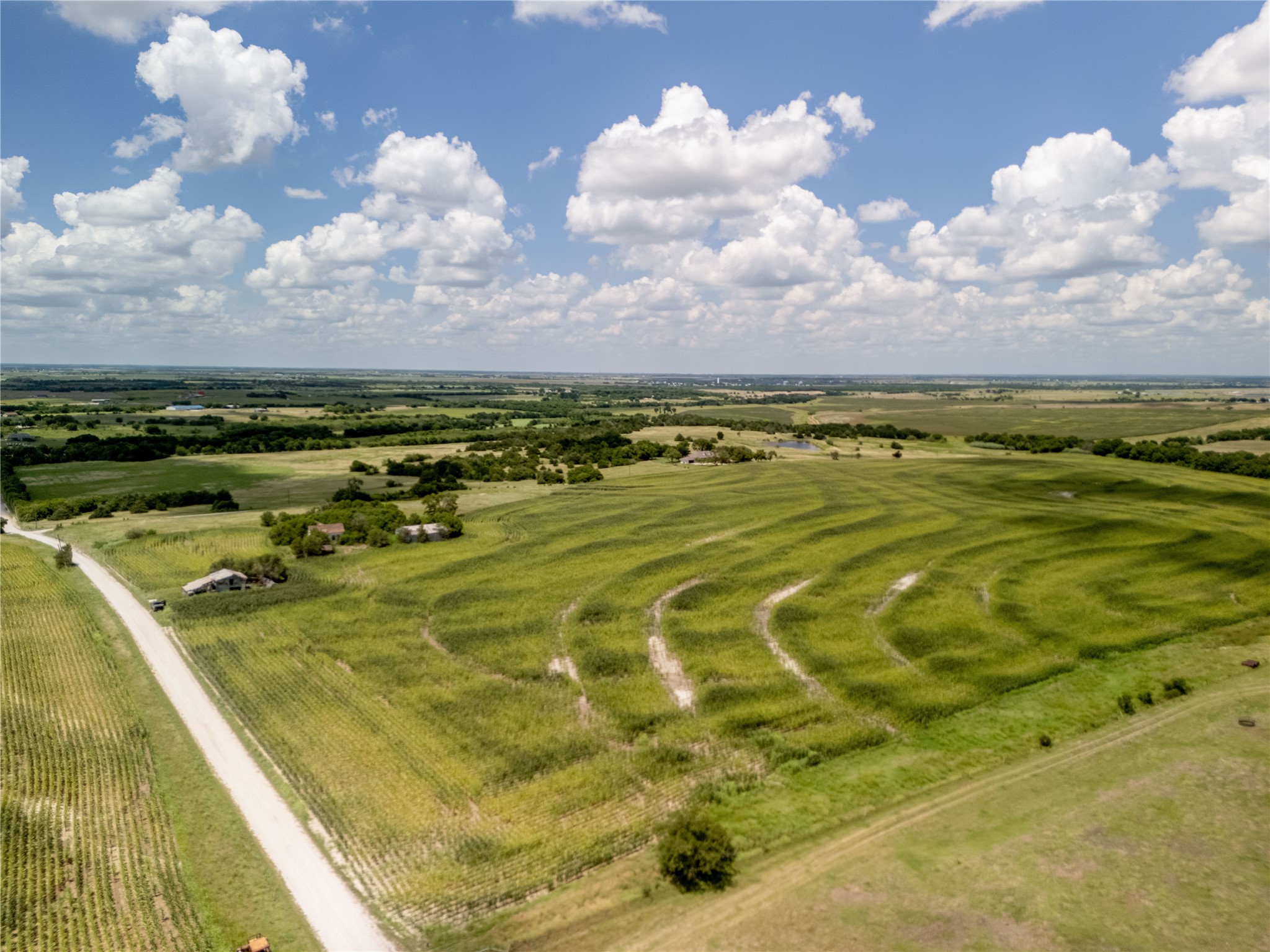 12.54 Acres | Tract 2 County Road 3307 Hubbard TX 76648