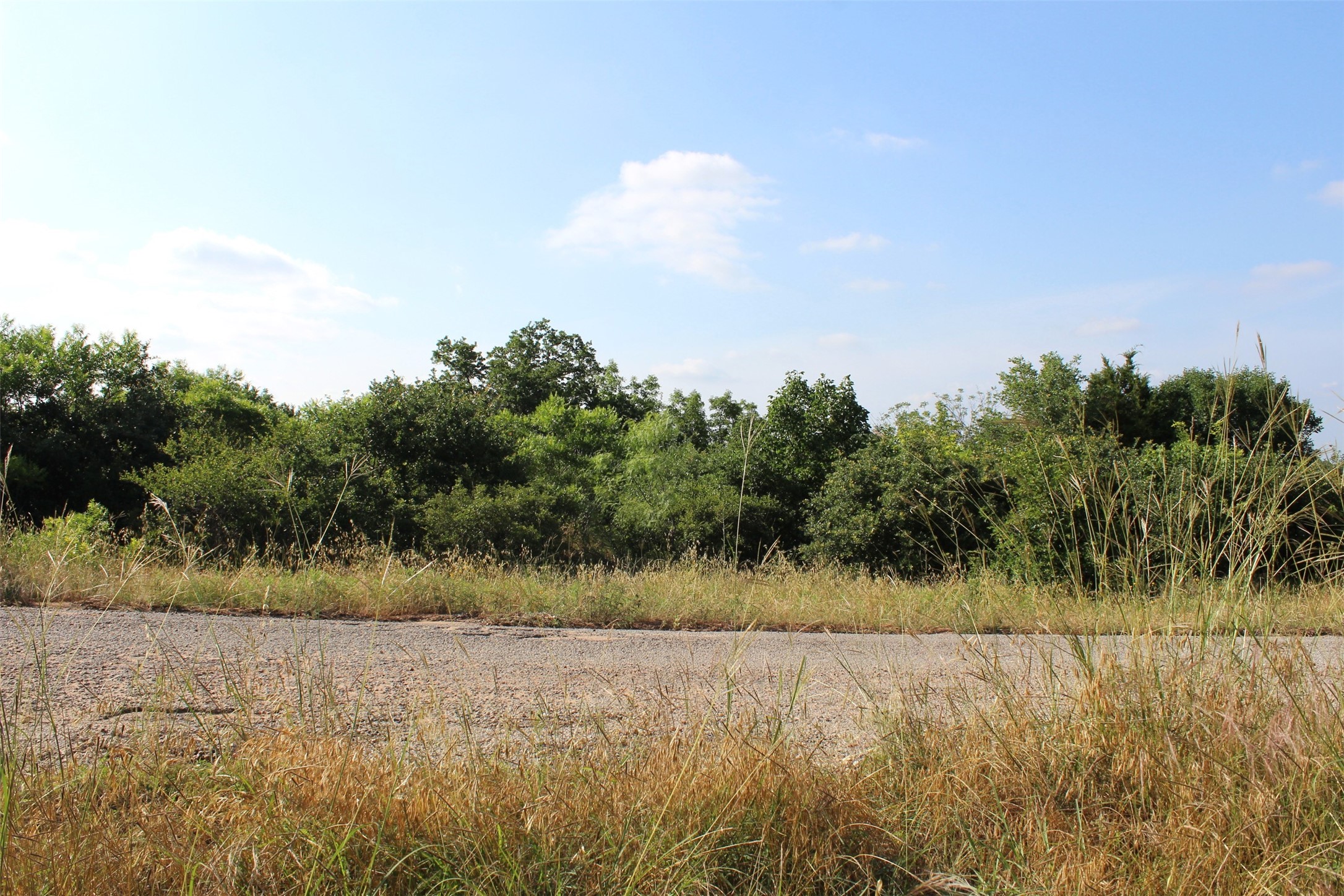 2702 Brazos River Drive Granbury TX 76048