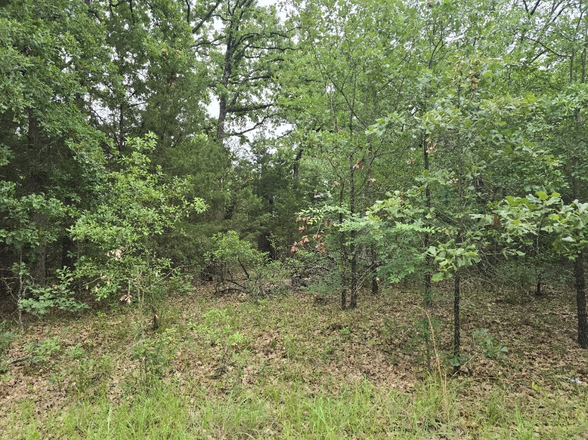 Lot 1007 Kickapoo Trail Mabank TX 75156