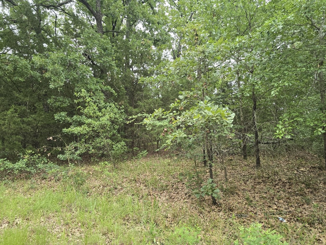 Lot 1007 Kickapoo Trail Mabank TX 75156