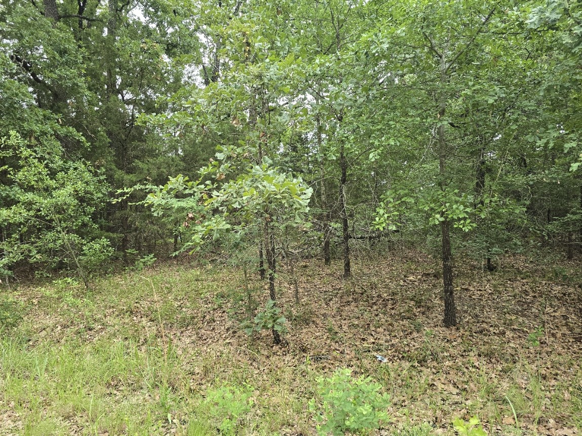 Lot 1007 Kickapoo Trail Mabank TX 75156