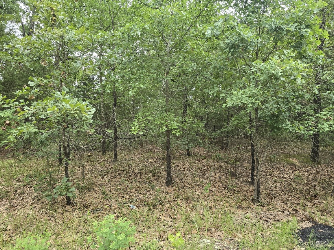 Lot 1007 Kickapoo Trail Mabank TX 75156