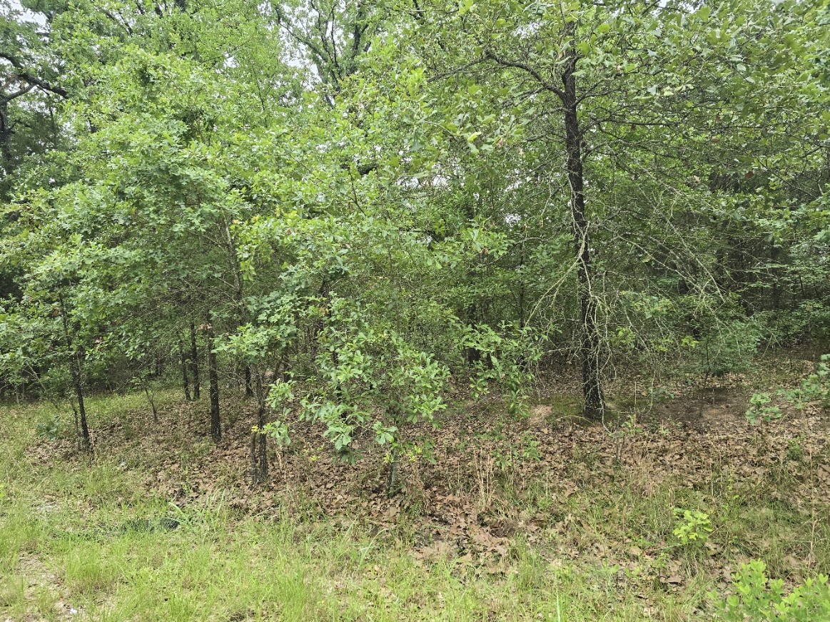 Lot 1007 Kickapoo Trail Mabank TX 75156