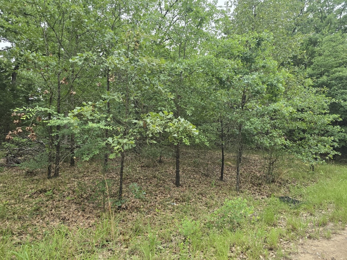 Lot 1007 Kickapoo Trail Mabank TX 75156