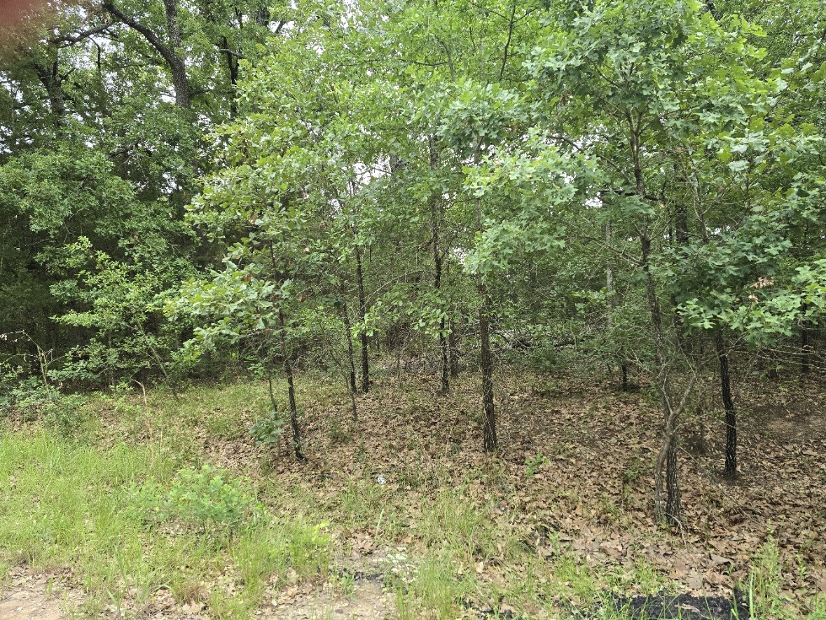 Lot 1007 Kickapoo Trail Mabank TX 75156