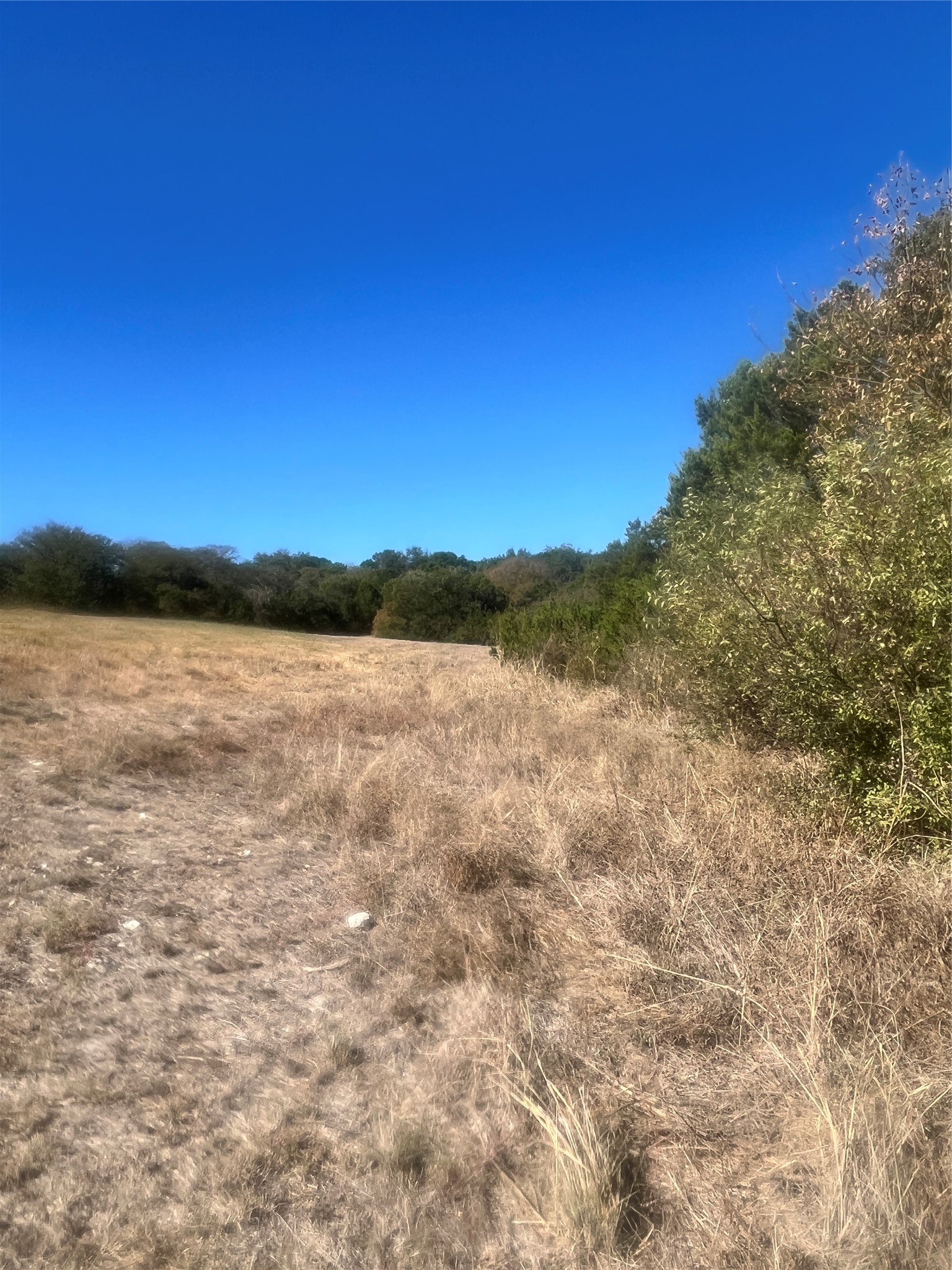 8405 Gullane Street Cleburne TX 76033