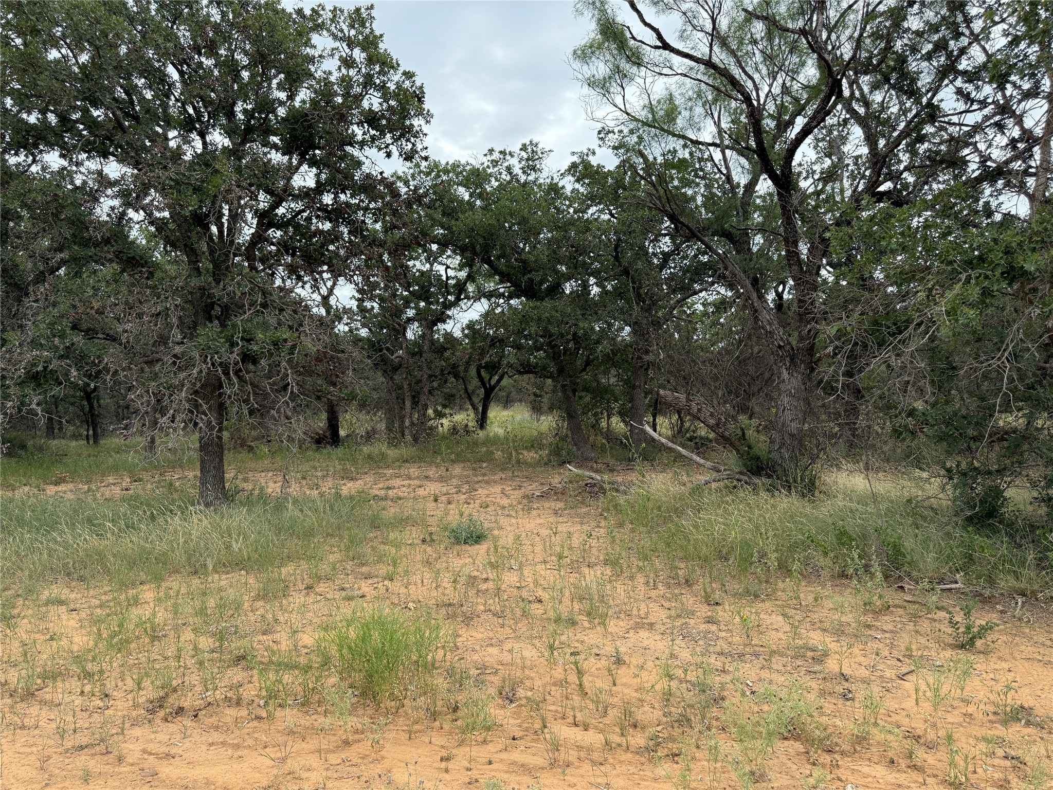 Tbd 2.13 Acres County Road 129 Brownwood TX 76801