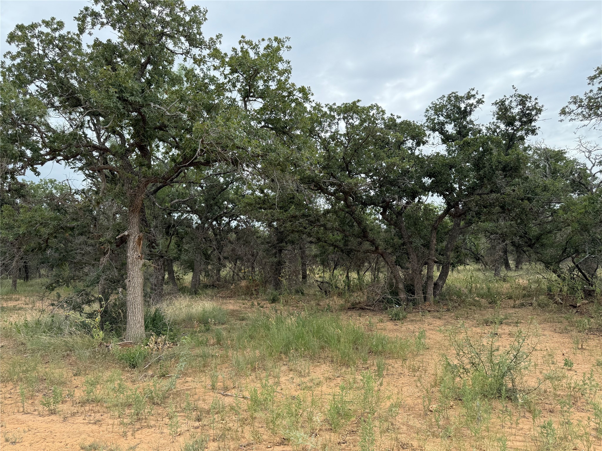 Tbd 2.13 Acres County Road 129 Brownwood TX 76801
