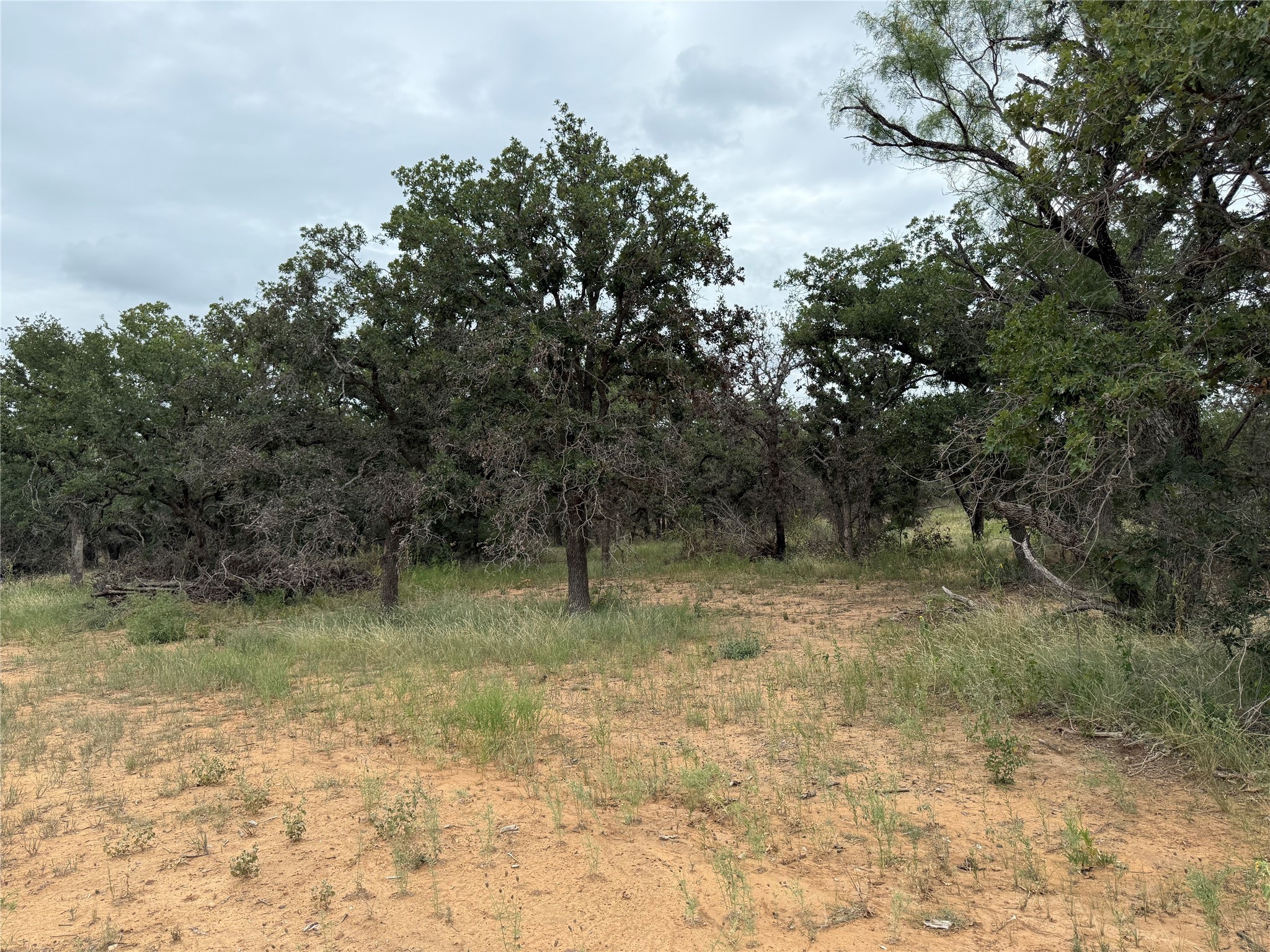 Tbd 2.13 Acres County Road 129 Brownwood TX 76801