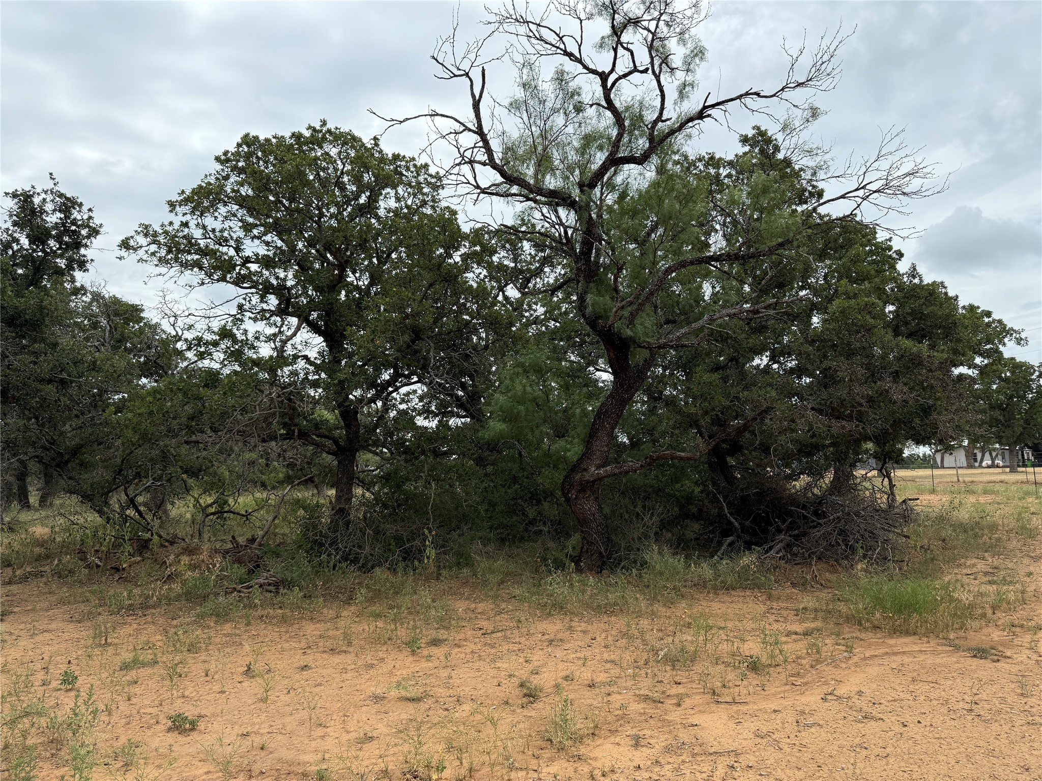 Tbd 2.13 Acres County Road 129 Brownwood TX 76801