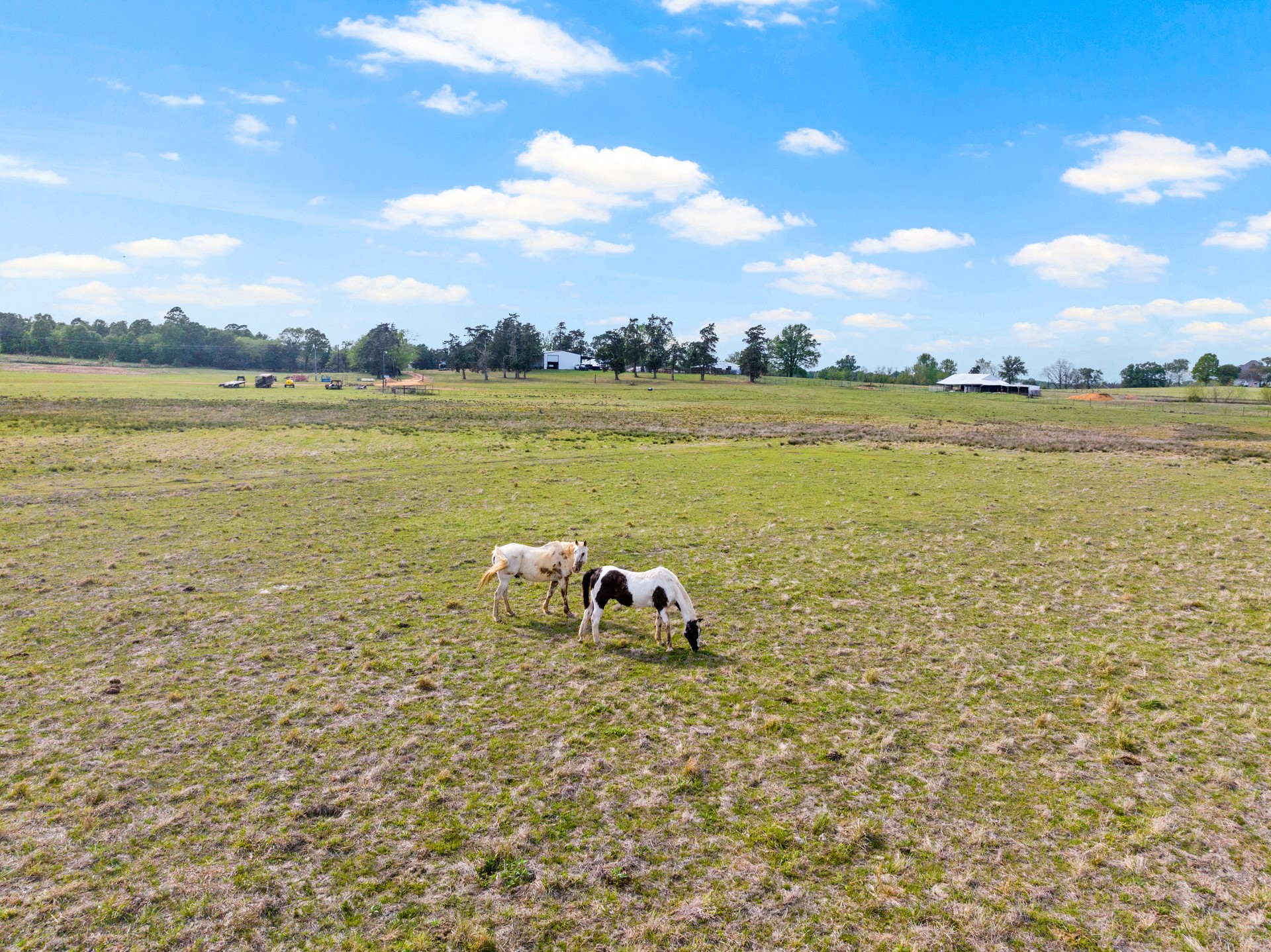 Tbd County Road 4287 Winnsboro TX 75494