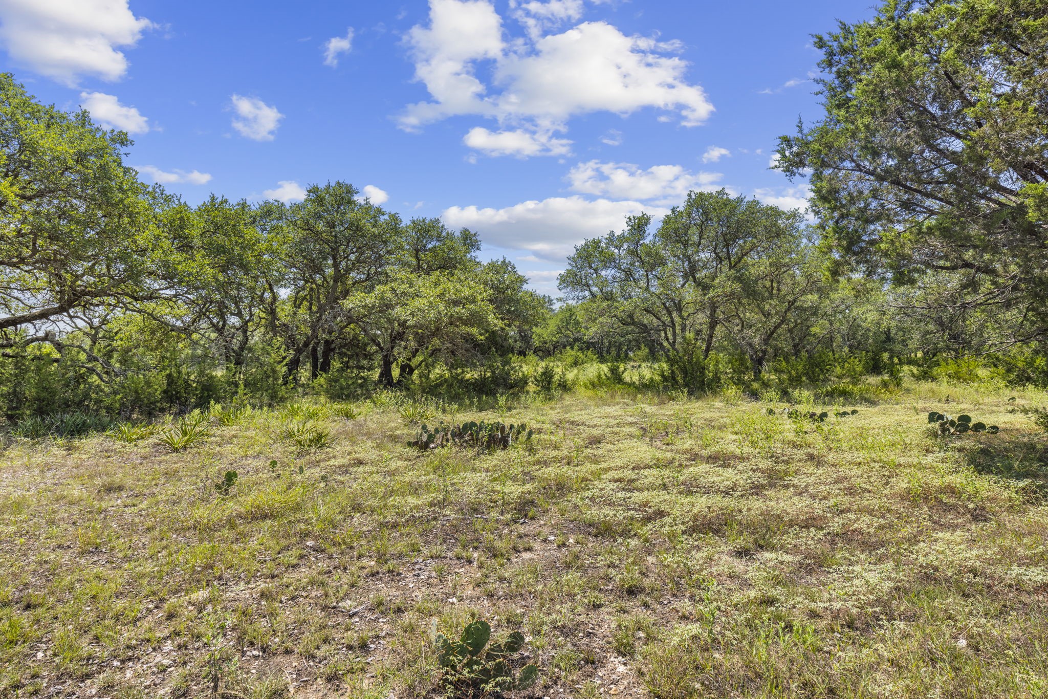 Lot 170 Heartleaf Lampasas TX 76550