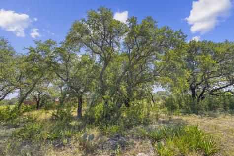 Lot 170 Heartleaf Lampasas TX 76550