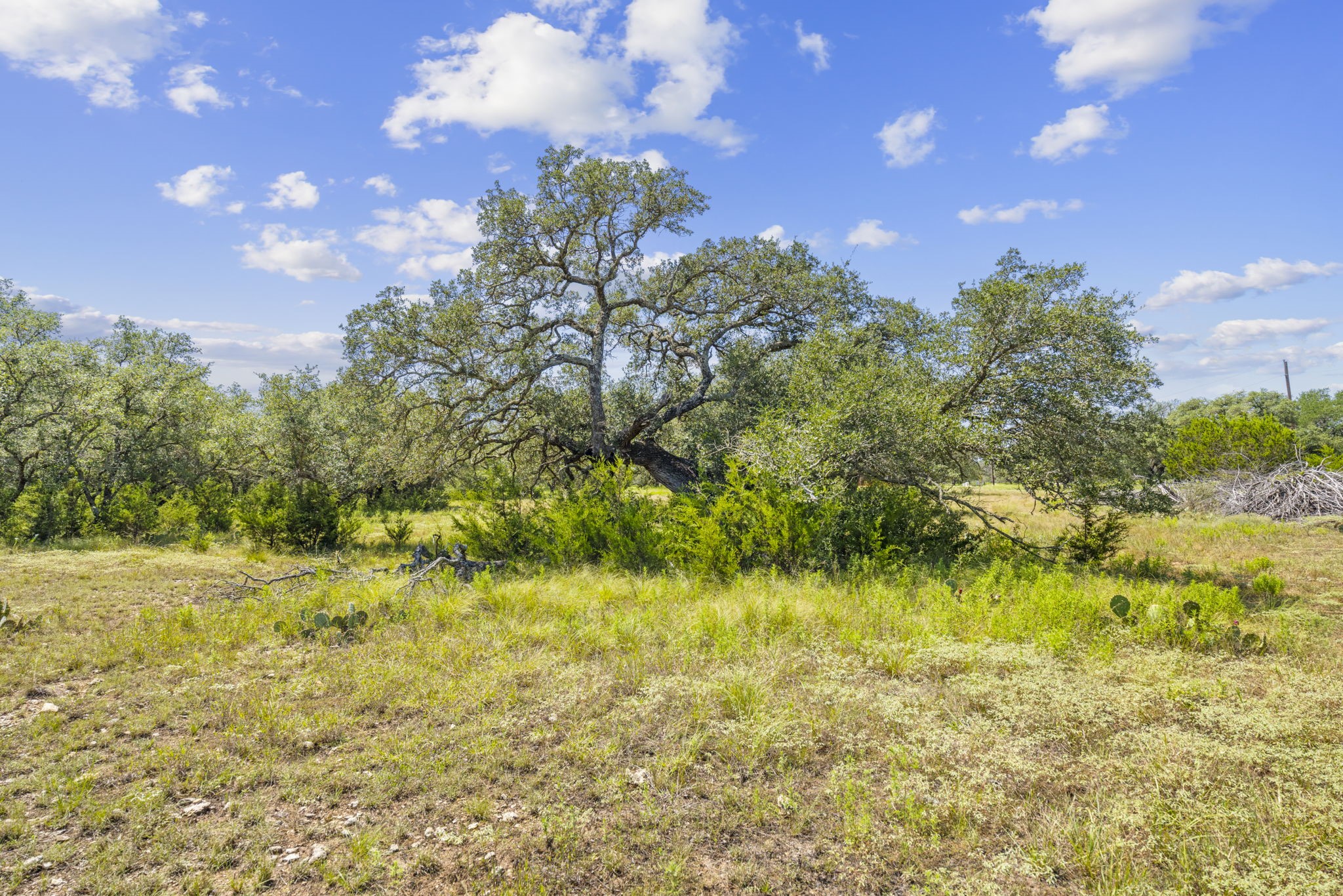Lot 170 Heartleaf Lampasas TX 76550