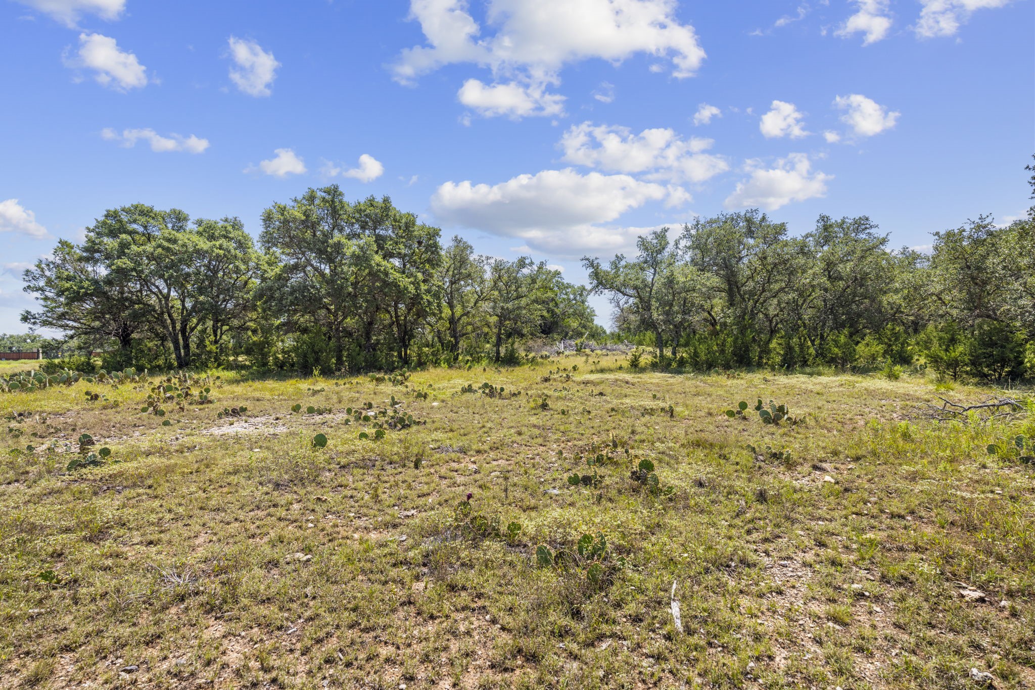 Lot 170 Heartleaf Lampasas TX 76550