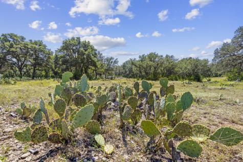 Lot 170 Heartleaf Lampasas TX 76550