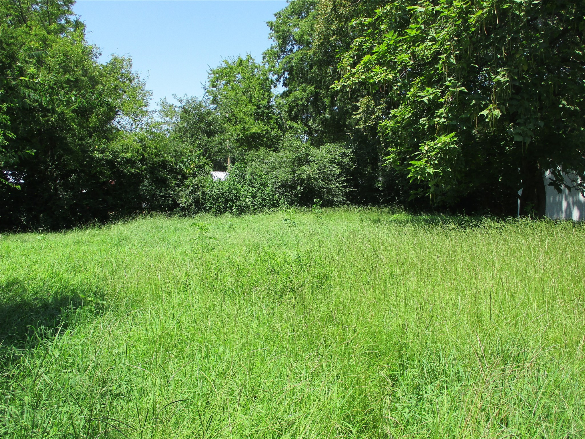 Tbd Wood Street Emory TX 75440