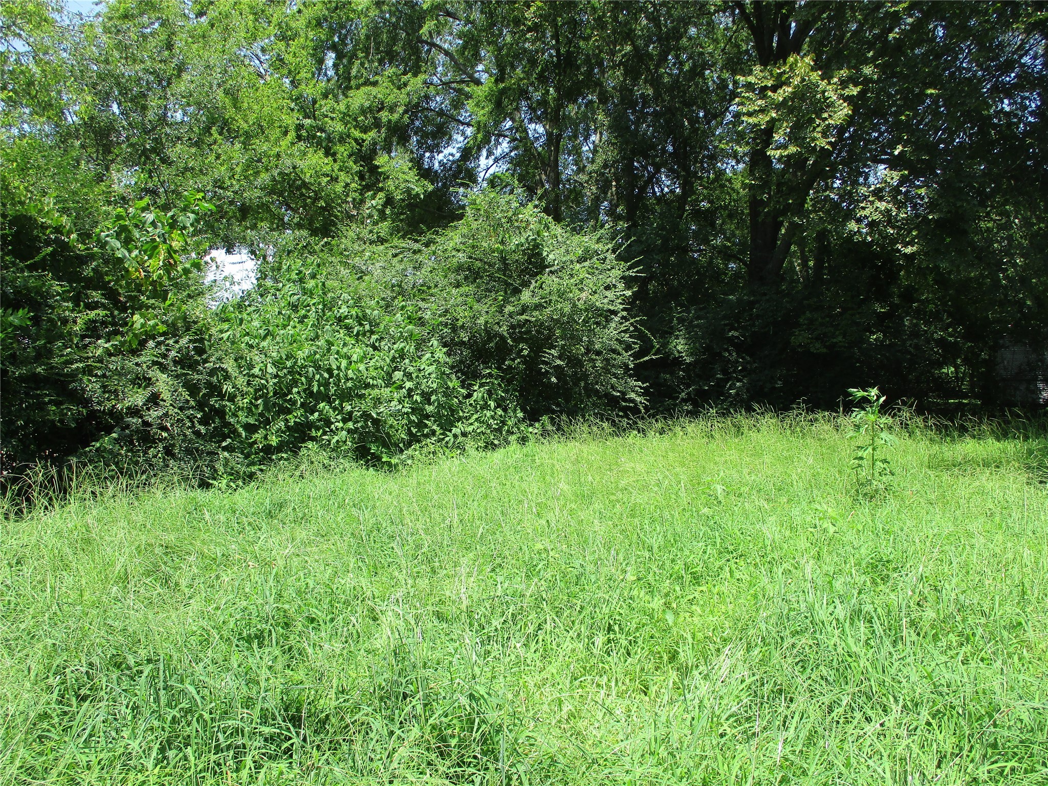 Tbd Wood Street Emory TX 75440