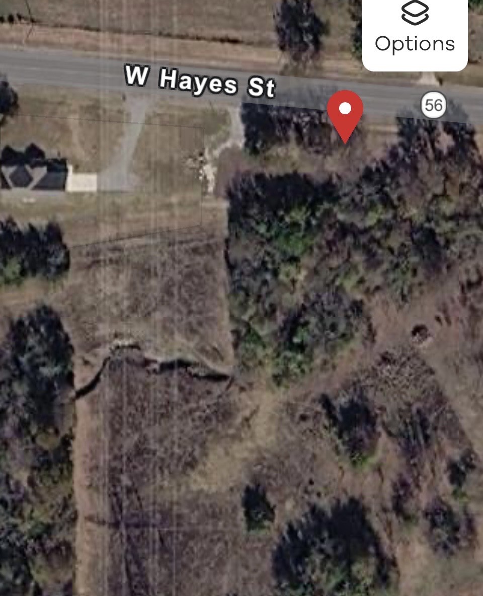 515 Hayes Street Savoy TX 75479
