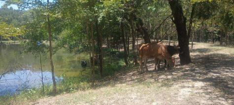 15713 County Road 4015 Mabank TX 75147