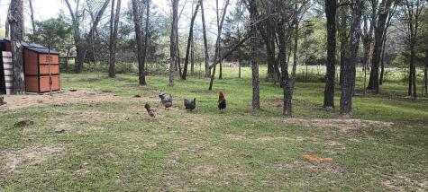 15713 County Road 4015 Mabank TX 75147