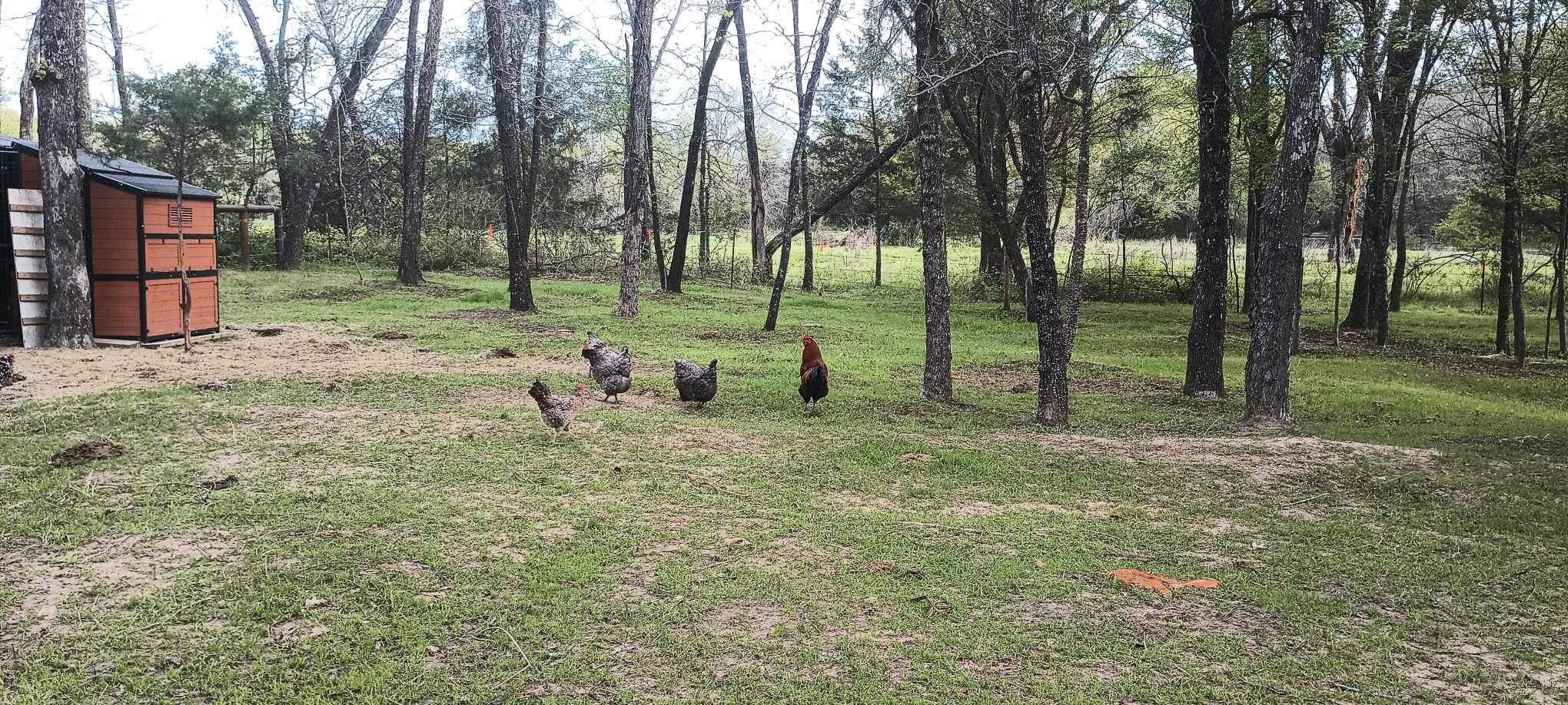 15713 County Road 4015 Mabank TX 75147