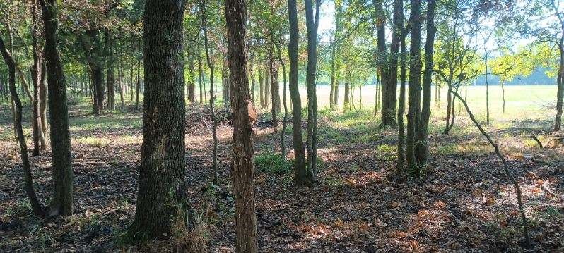 15713 County Road 4015 Mabank TX 75147