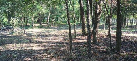 15713 County Road 4015 Mabank TX 75147