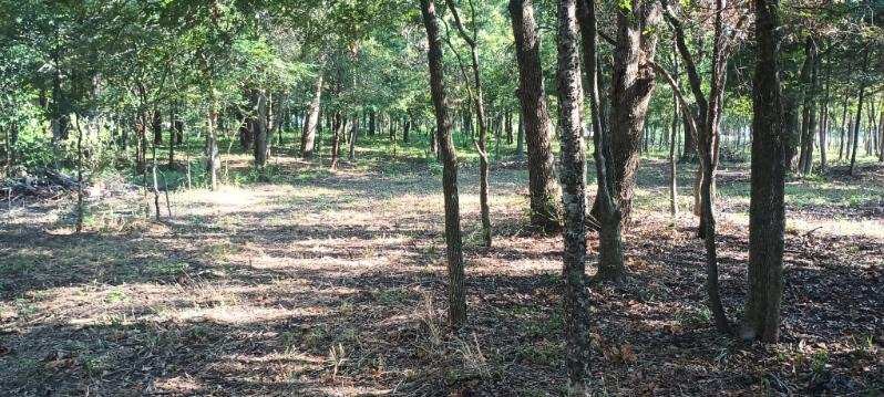 15713 County Road 4015 Mabank TX 75147