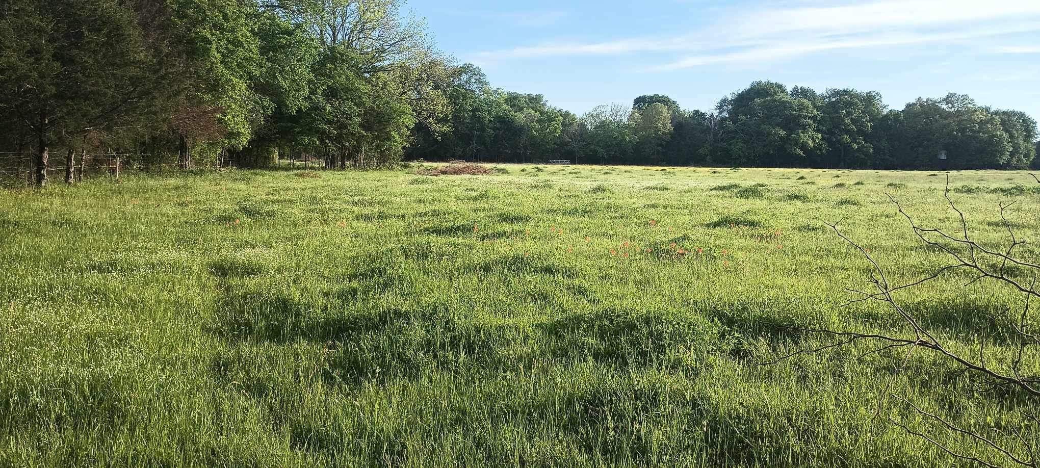 15713 County Road 4015 Mabank TX 75147