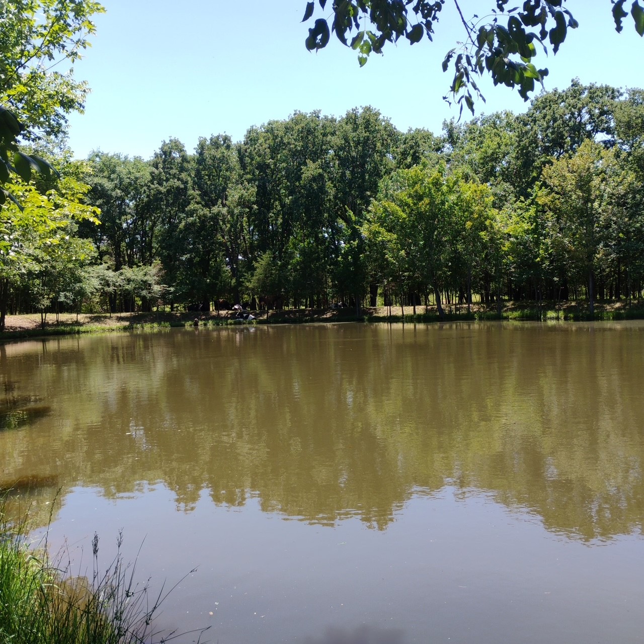 15713 County Road 4015 Mabank TX 75147