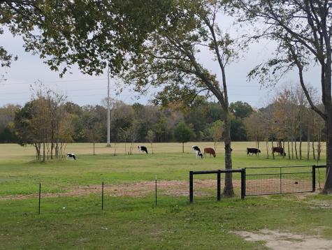 15713 County Road 4015 Mabank TX 75147