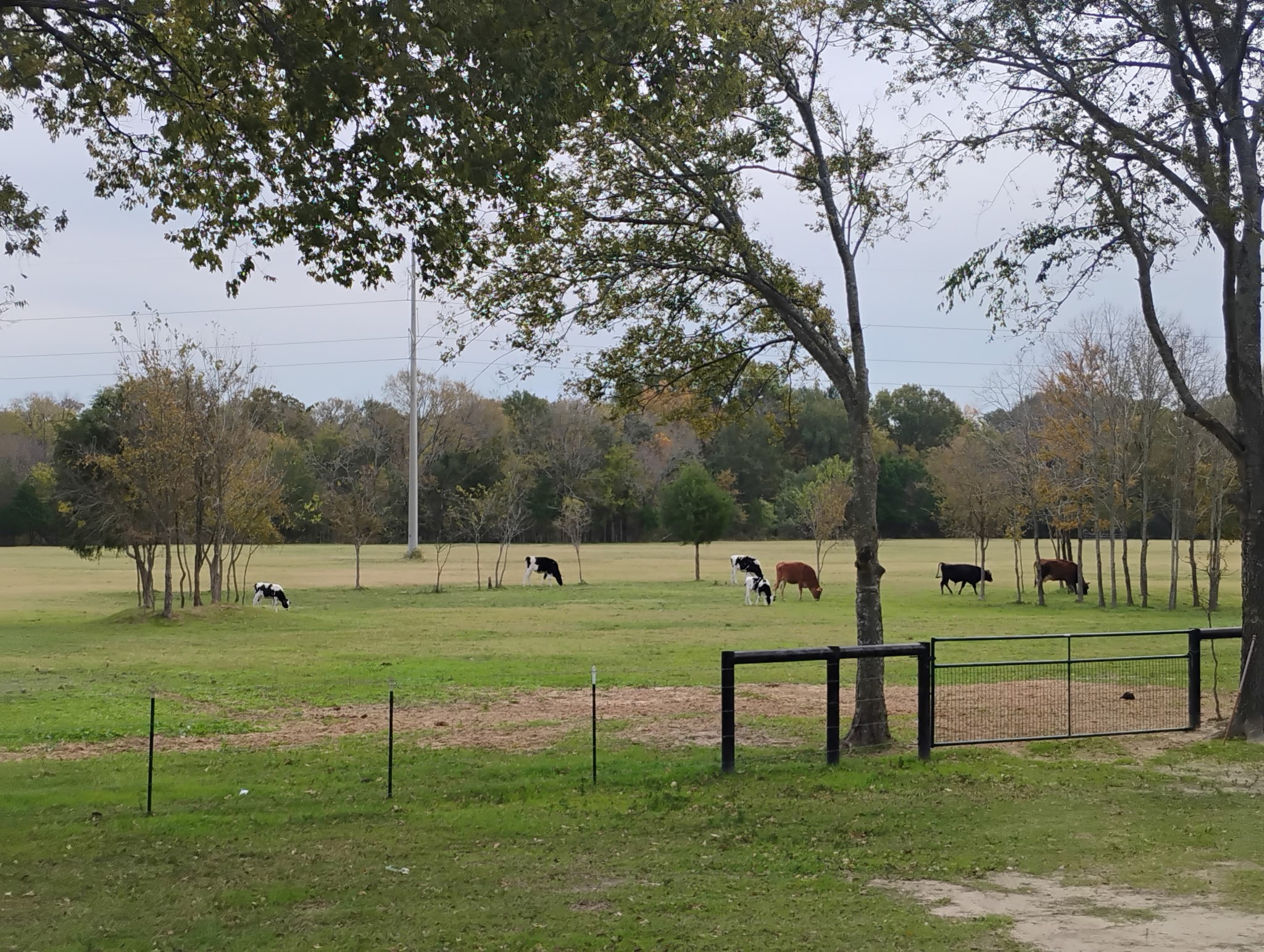 15713 County Road 4015 Mabank TX 75147