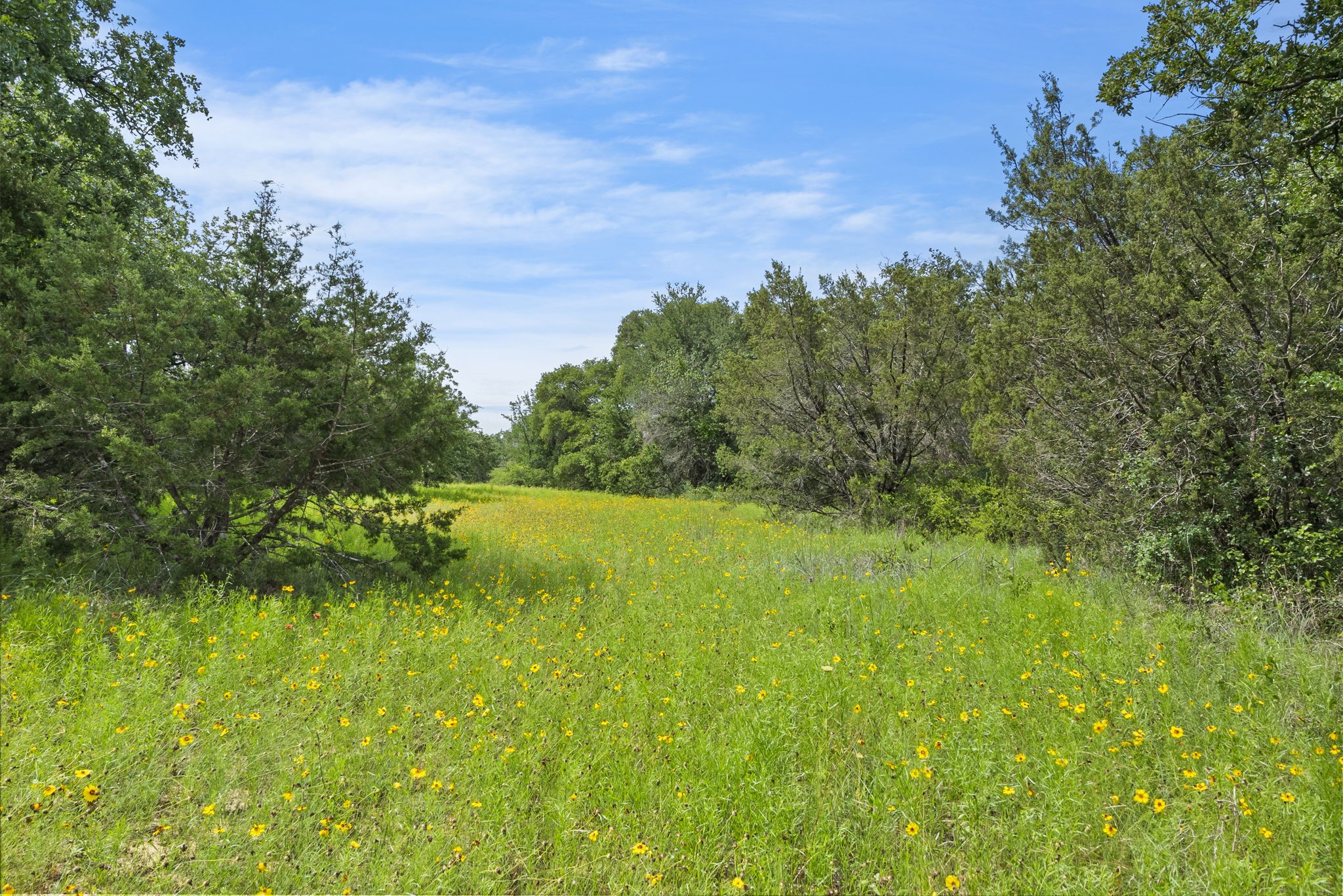 1435 Private Road 1129 Stephenville TX 76401